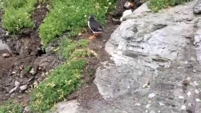 Andree Anne Rachel 2014: Nous sommes sur Great Skellig.