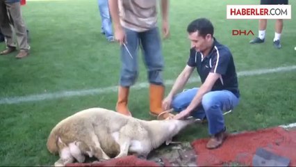 Somaspor'a Görkemli Açılış