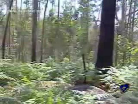 JESUS RESSUSCITOU! - PAIVA NETTO - RELIGIÃO DE DEUS - ECUMENISMO - LBV - Cedral; Fortuna