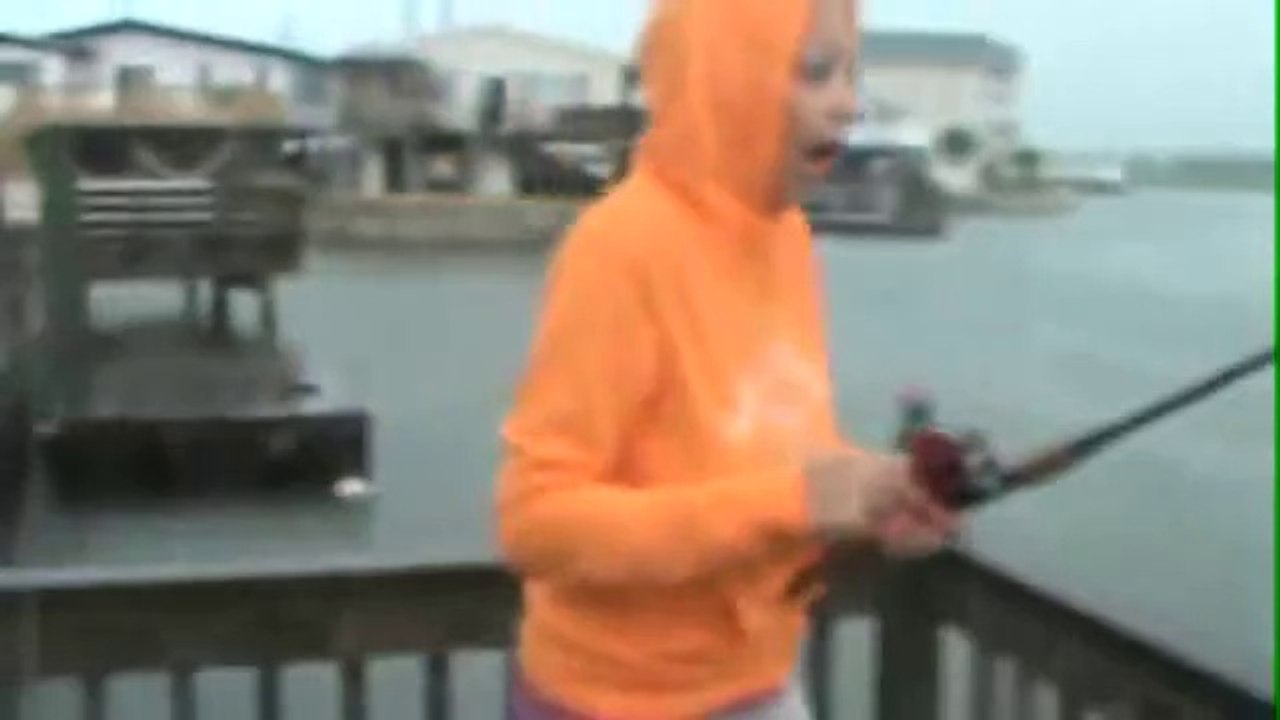 Real shark attack video shark bait FUNNY ACCIDENT VIDEOS funny clips Shark Attacks