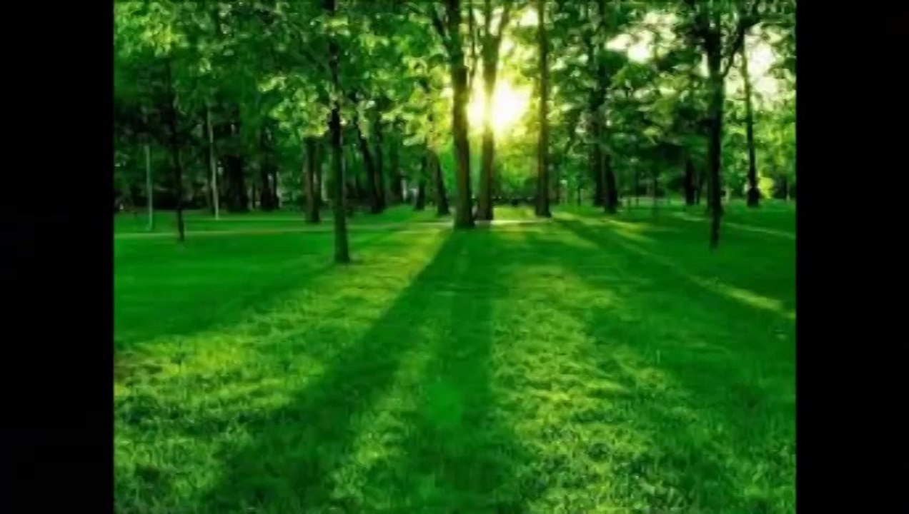 SHEREE singing, _ This is God's world __youtube_original