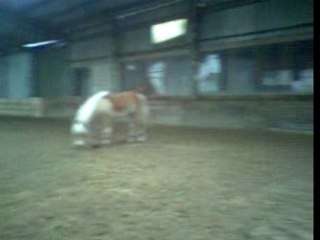 Rien de tel qu'une bonne roulade