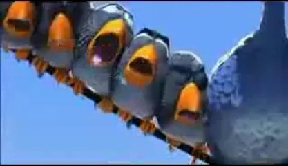 Funny Birds Video Kids Clips Free Online Download Cartoons Animation Videos dekhona com YouTube