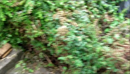 HMDX Jam XT extreme Drop water Tests and review