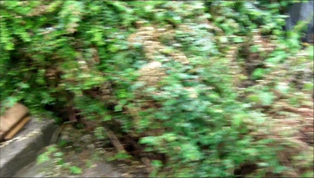 HMDX Jam XT extreme Drop water Tests and review