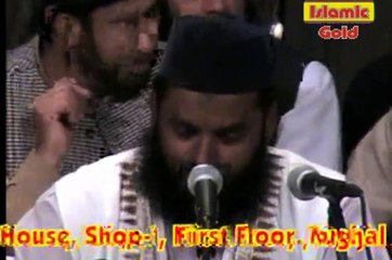 Qari najam ul hassan