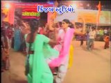 Lebuda Na Lila Pila Phool - Singer - Gulab Rathod