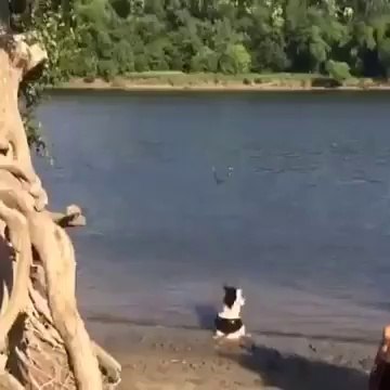 VID-20140907-WA0000.mp4