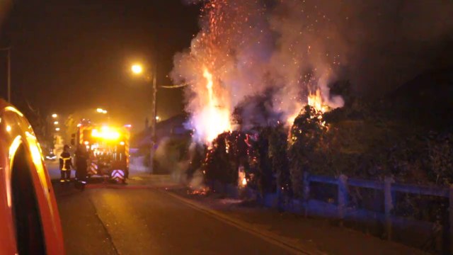 Béthune : une haie en feu rue Henri-Barbusse, samedi 6 septembre 2014