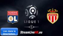 Olympique Lyonnas vs AS Monaco Streaming en ligne LIVE HD GRATUIT Ligue 1 match 12/09/2014