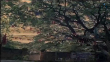 Chinna Chinna Aasaigal Movie - Pandiarajan Superhit Action Scene