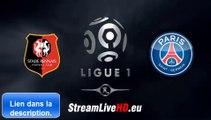Stade Rennais FC vs PSG Streaming en ligne live gratuit HD Ligue 1 Match 13/09/2014