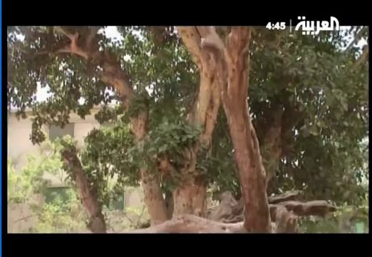 وثائقي ـ أرض الأنبياء (18) نبي الله عيسى عليه السلام