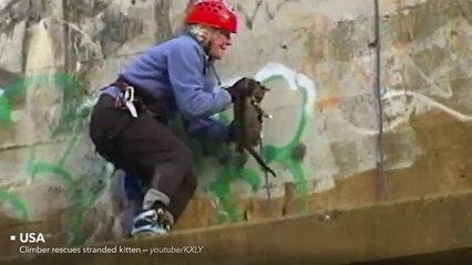 Restore your faith in humanity in 4 minutes flat......