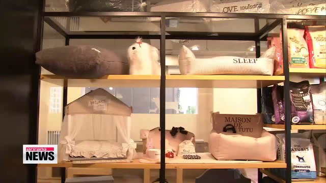 Pet hotels spring up as a possible solution for Chuseok travelers with furry friends