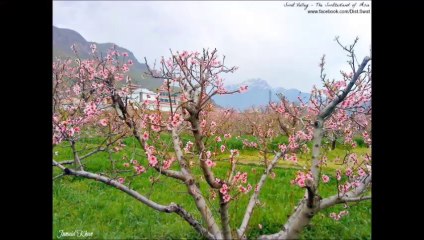 My Favorite Poem Dedicate to Mahira Her Demand - ADEEL FAZIL