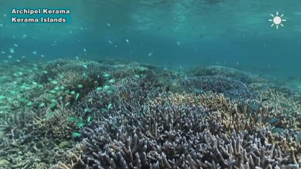 Archipel Kerama /Kerama Islands, Okinawa