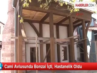 Cami Avlusunda Bonzai İçti, Komalık Oldu
