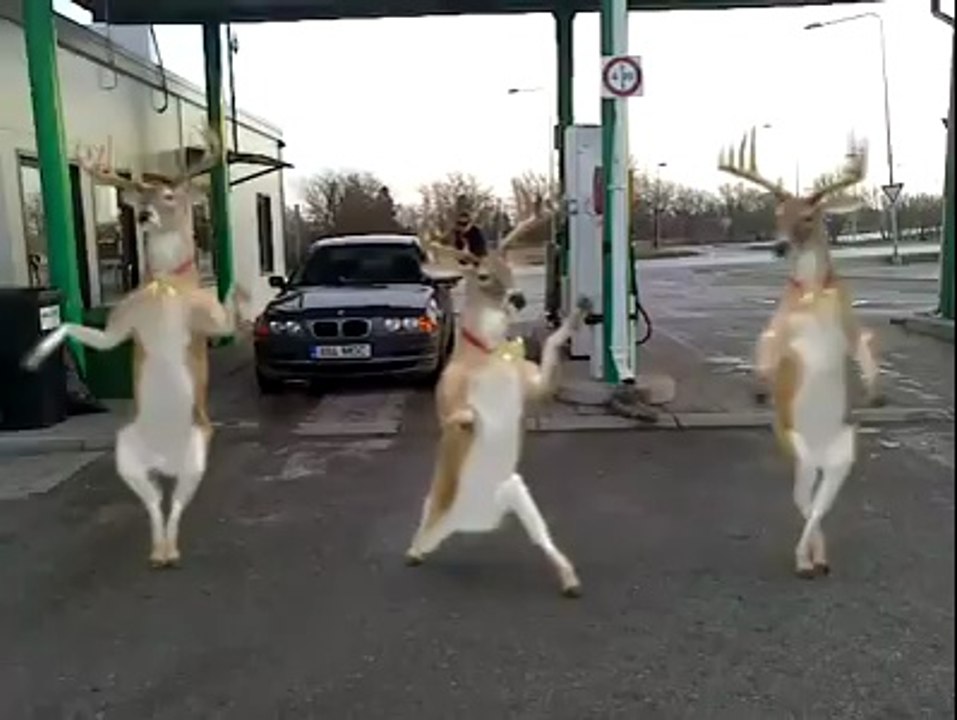 Reindeer Dance