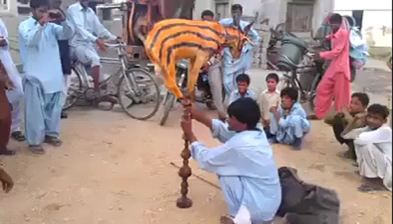 VID-20140621-WA0012.mp4