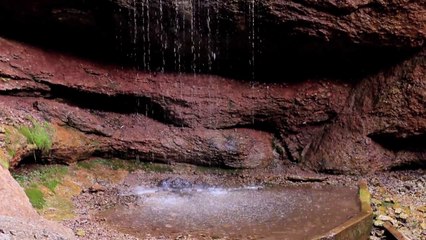 les trésors cachés de la Gaspésie - la grotte de Gaspé