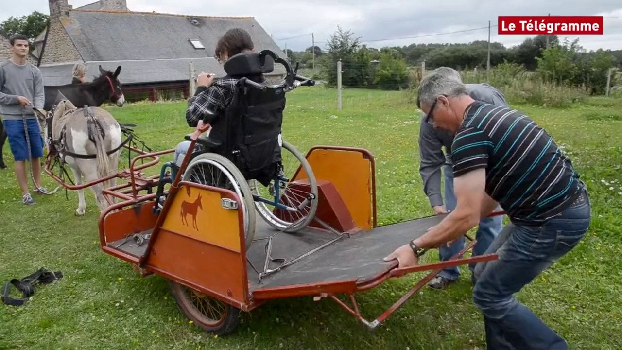 Plouagat (22) : une calèche conçue pour les fauteuils roulants
