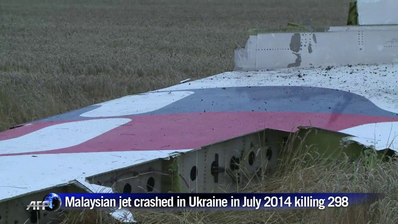 Flight MH17 hit by numerous 'high energy objects': probe