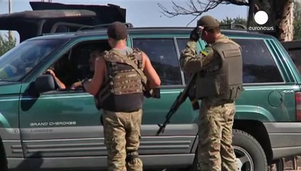 Cinq pays vont livrer des armes à l'Ukraine