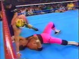 Bret Hart vs Tiger Mask II (Misawa) WWF AJPW Wrestling Summit 1990-04-13
