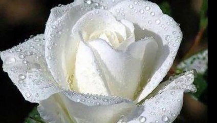 Tanti auguri di Buon Compleanno!