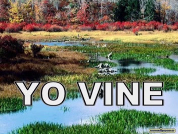 Alabanzas Cristianas