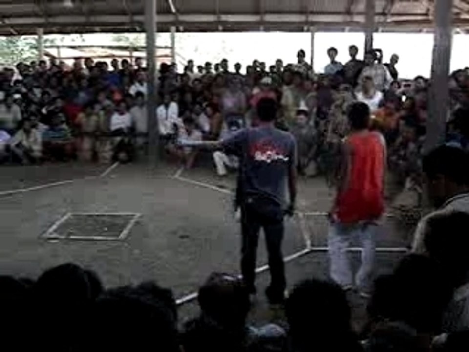 Chicken Fighting 2