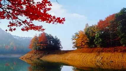 Relaxation Music - Many Lost My Heaven (HD)