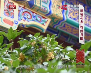 20140907 这里是北京 中秋节 简朴不简单
