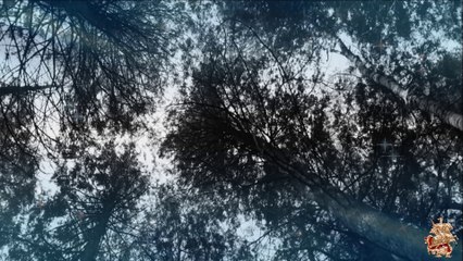 ♛♫♥Spark7 feat. Ridgewalkers - So Alive (Aurosonic Progressive Remix)♥♫♛