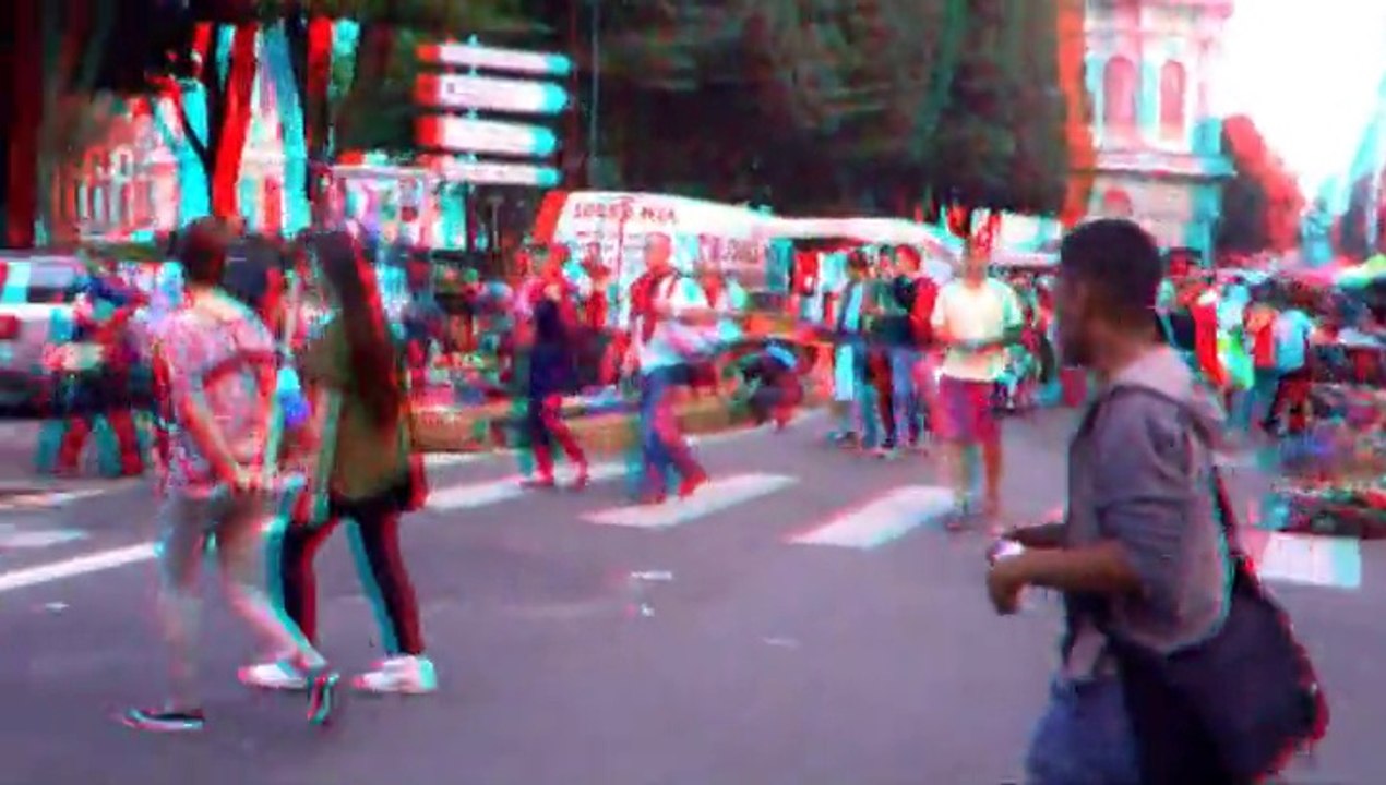 Braderie de LILLE,en 3D-2014