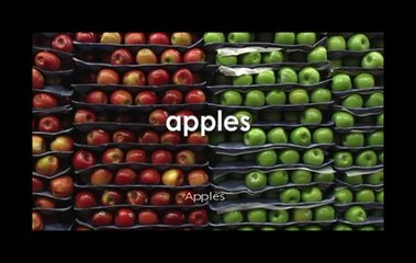 Learn English With Pim Bear - Little Pim Bilingual