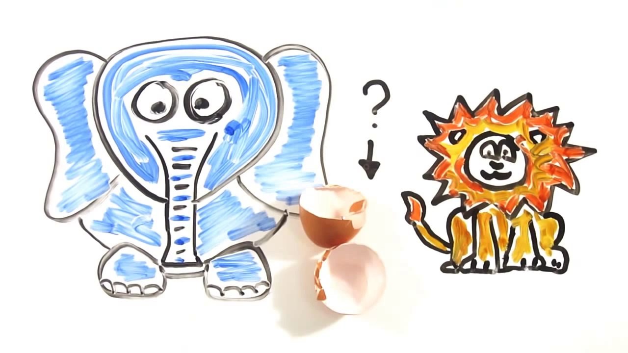 Which Came First - The Chicken or the Egg