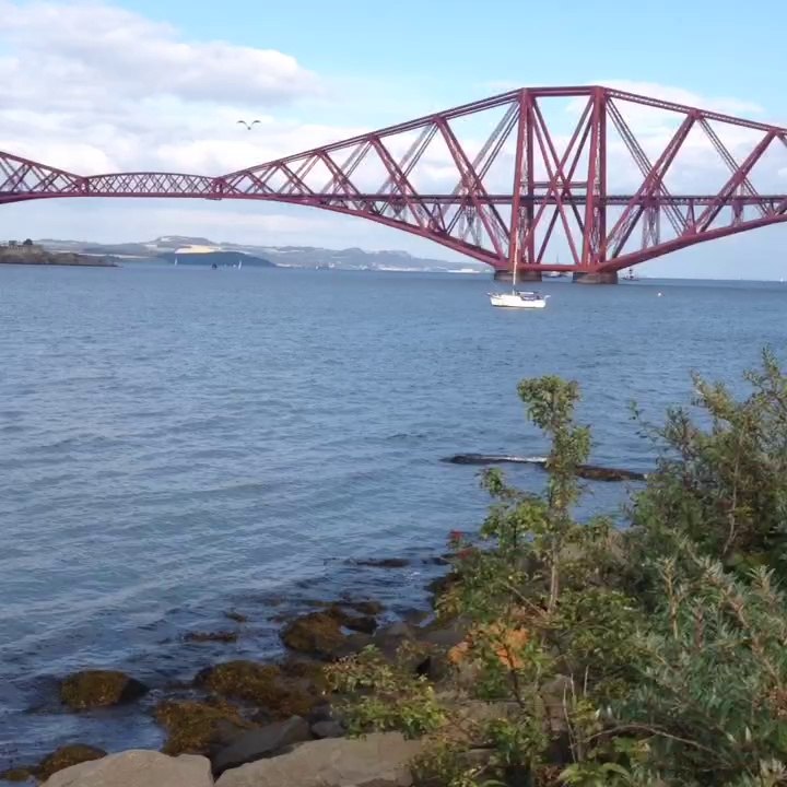 Bridge 6