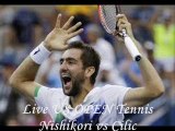 watch Nishikori vs Cilic live tennis