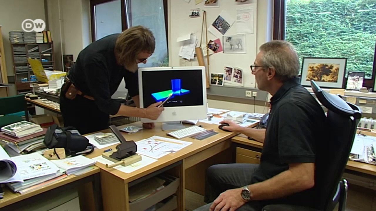 Vorbild baum | projekt zukunft