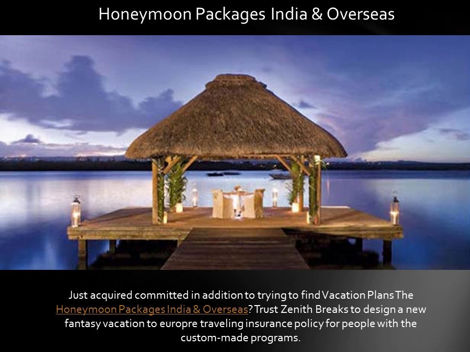 Best Tour & Travel Company in India offer by Zenith Holidays