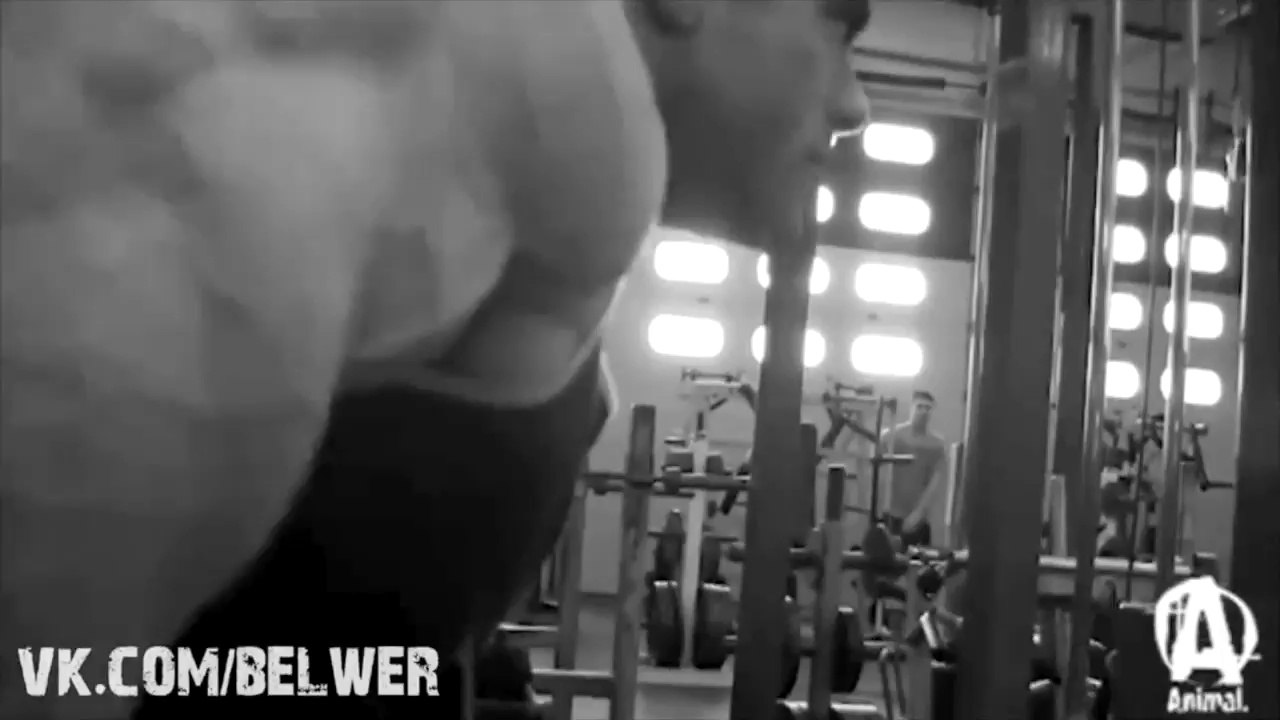 Evan Centopani Prep and Flex