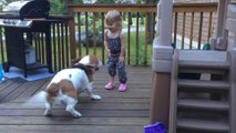 So cute Toddler And Basset dancing On The Deck