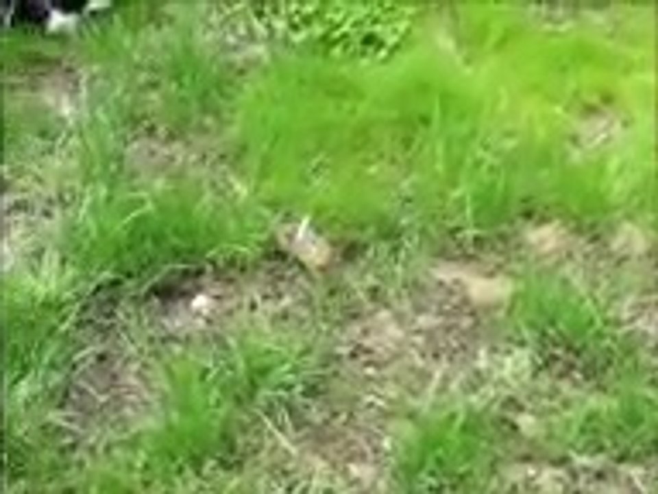 Never never ever give up inspirational video ever