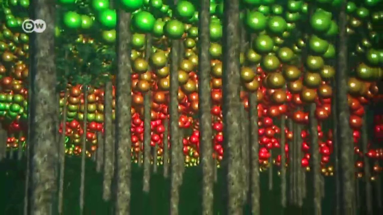 The virtual Forest | Tomorrow Today