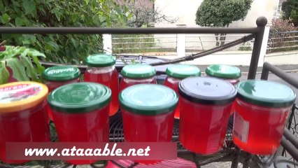 Cuisine du Soleil - La Gelée de Coings