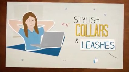 Dog Supplies - Dog Training Warehouse