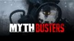 Zombies Mythbusters EP.3 w/ iNoobChannel