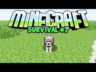Minecraft UAGNA's Survival Ep. 7 - Golosi di diamanti by HeatFox